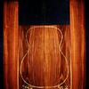 Cocobolo Select Grade
